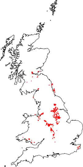 Coal Authority Geophysical Borehole Logs