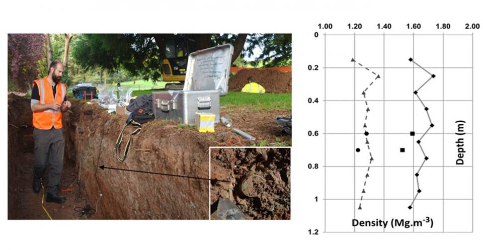 undisturbed samples from pit