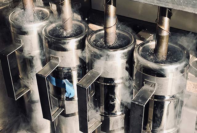 stable isotope facility