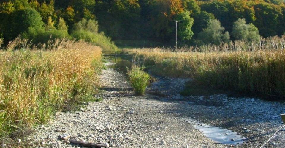 A dry river bed