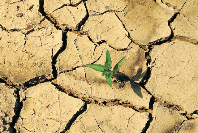 Environmental change