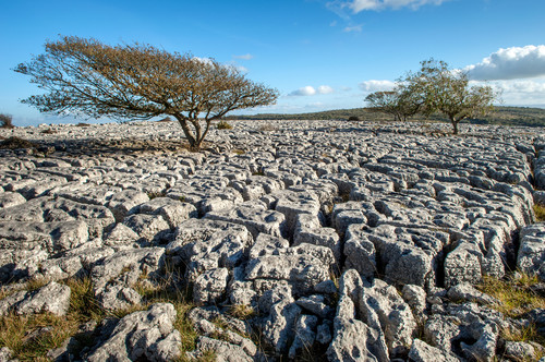 Limestone pavement, Cumbria