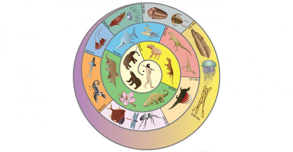 Colour and cut-out Spiral Timeline.