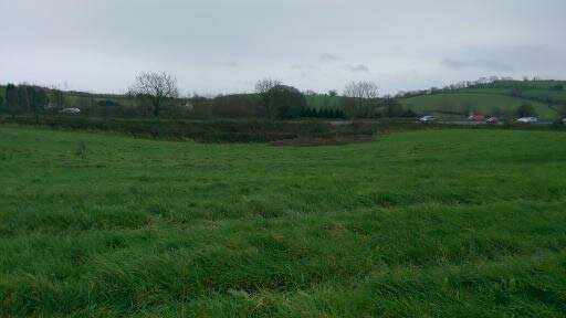 Surface depression remnant from sinkhole adjacent to the A38 at Caton, Devon.