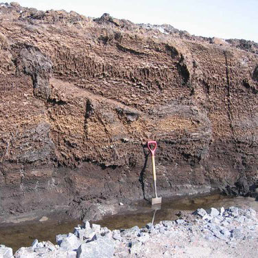 Peat layers in a road cutting
