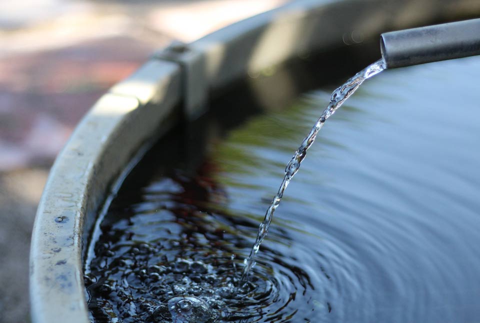 World Water Day