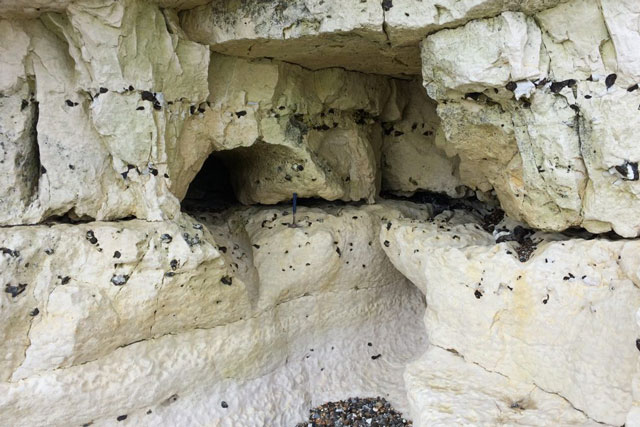 S amll cave in a white chalk cliff that has bands of flint pebbles.