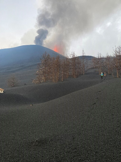 Grey piles of tephra sourrounding dead trees, with a lava fountain and water apour plume in the background.