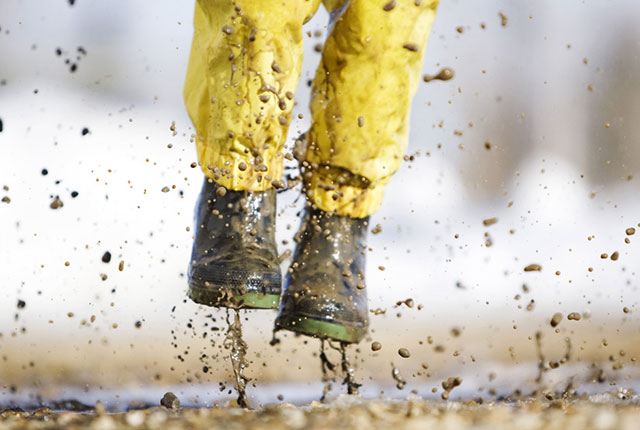 ©iStock.com/sscreative