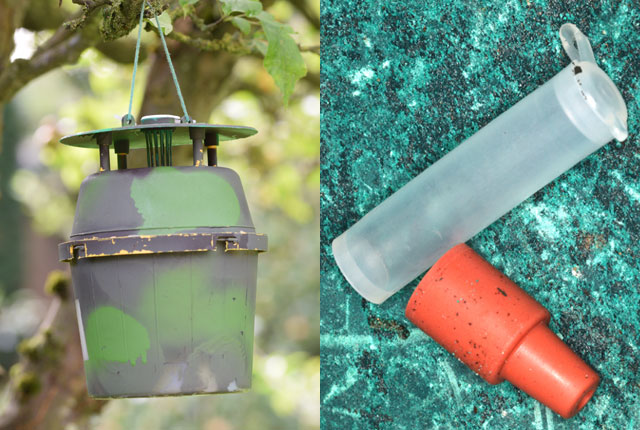 A camouflaged pheromone lure trap (left) and rubber bung and plastic vial lures impregnated with the pheromones (right). © BGS / UKRI