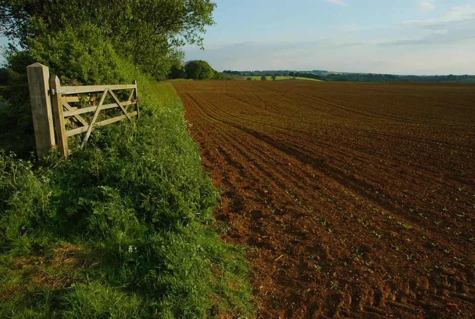 The texture, depth and chemistry of a soil all affect the crops that grow in it. Vale of Belvoir, Leicestershire. BGS © UKRI.