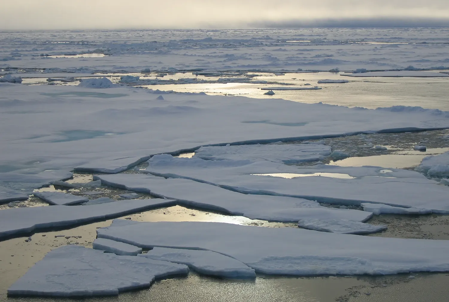 Sea ice at sunset