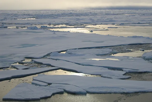 Sea ice