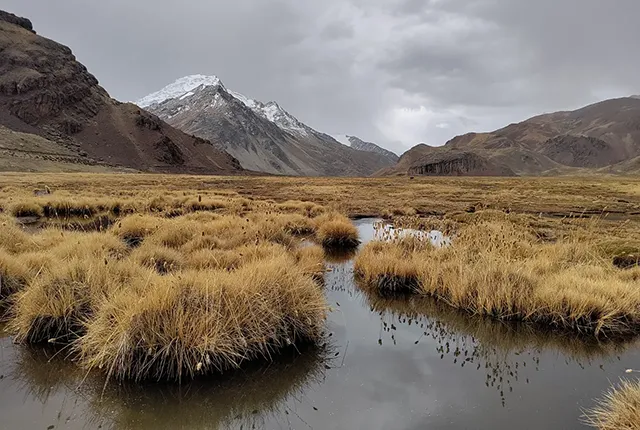 A snow-capped mountain stands in the distance, with wetlands in the foreground.