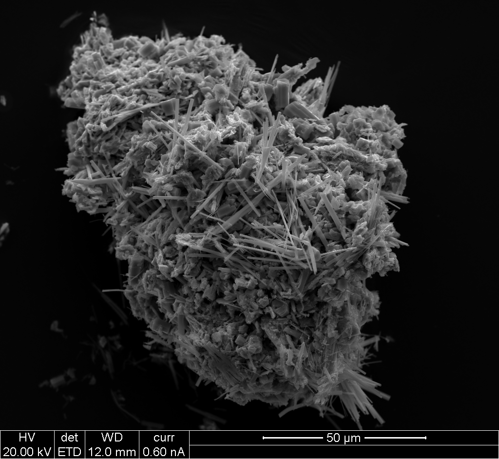 A black and white scanning electron microscope picture of a cluster of needle-like crystals on a lumpy matrix.