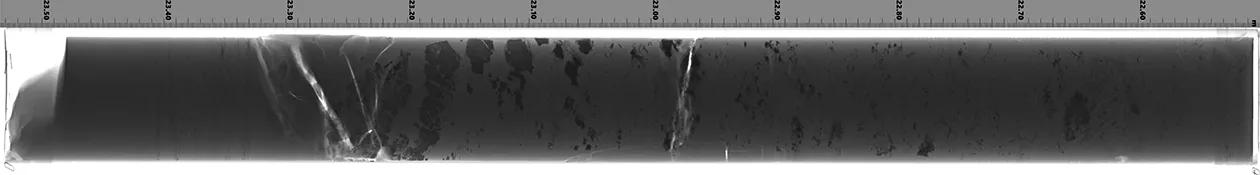 X-ray image of Keyworth D core showing internal structures of the mudrock core. Low-density material such as air is shown as white on the radiographs and higher-density material is shown in various degrees of grey. BGS © UKRI.